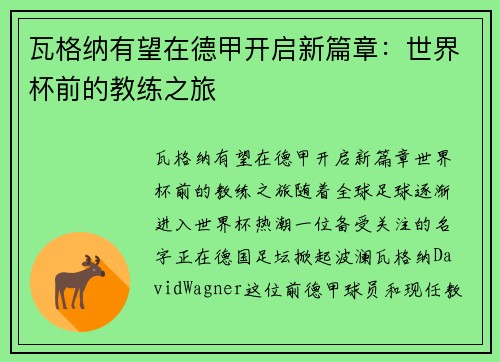 瓦格纳有望在德甲开启新篇章：世界杯前的教练之旅