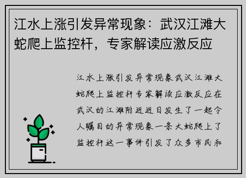 江水上涨引发异常现象：武汉江滩大蛇爬上监控杆，专家解读应激反应